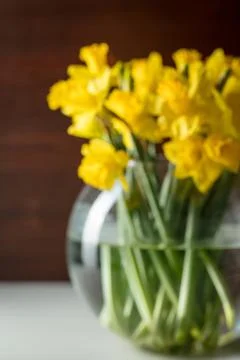 Blurred soft focus daffodils on table in vase with dark wood background. Stock Photos