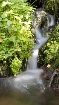 Blurred stream of a mountain stream flowing over moss and stones on the sun. Stock Photos