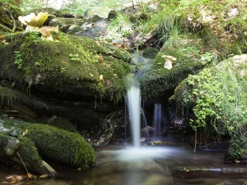 Blurred stream of a mountain stream flowing over moss and stones with mushroo Stock Photos