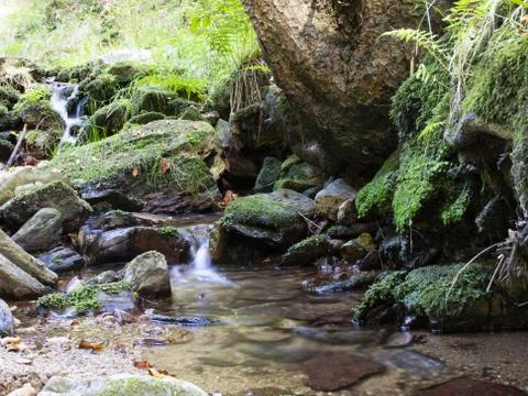 Blurred stream of a mountain stream flowing over moss and stones under big sp Stock Photos