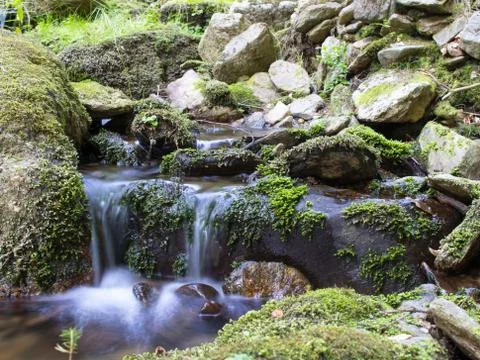 Blurred stream of a mountain stream flowing over moss and stones with lagoon. Stock Photos