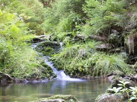 Blurred stream of a mountain stream flowing over moss and stones with small l Stock Photos