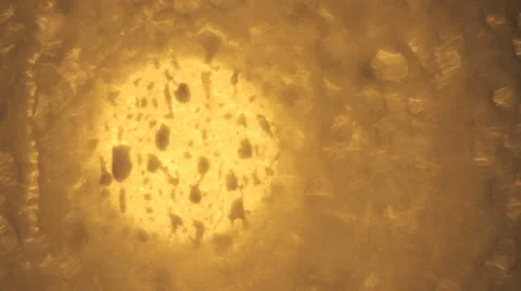 Blurred Streetlight 2 Stock Footage 24826158