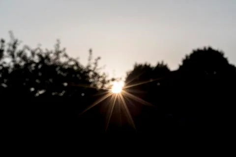 Blurred sunset behind trees for backgrounds Stock Photos