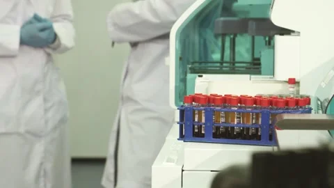 Blurred technicians engaged in discussion behind a stand filled with test tubes Stock Footage 311985474