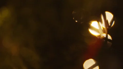 Blurred texture Stock Footage 122351763