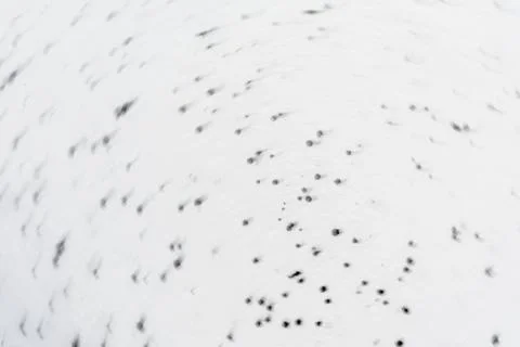 Blurred texture polyester foam consisting of white and black balls, motion ef Stock Photos