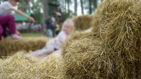 Blurred toddler slides down hay. Fair provides outdoor summer fun. Stock Footage 346402385