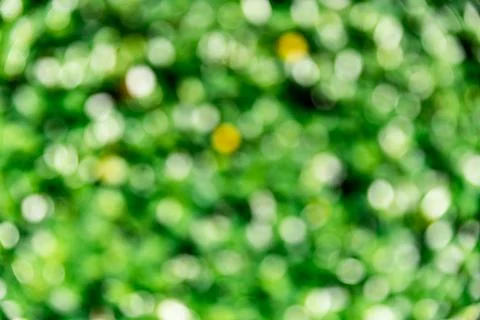 Blurred tree image Stock Photos