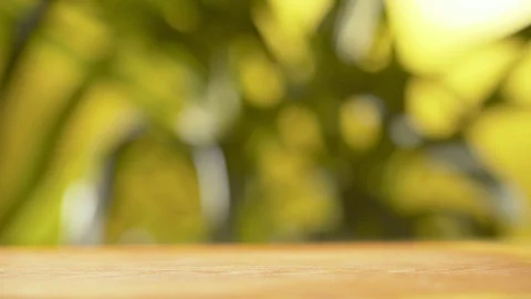 Blurred tree leaves sway in the wind Stock Footage 125091965