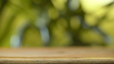 Blurred tree leaves sway in the wind Stock Footage 125092027