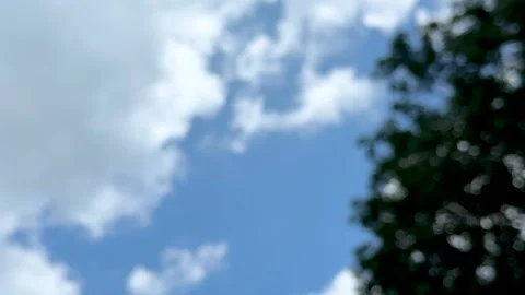 Blurred tree silhouette against a vibrant blue sky with scattered fluffy wh.. Stock Footage 339295992
