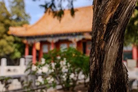 Blurred tree trunk framing temple courtyard in Beijing Stock Photos
