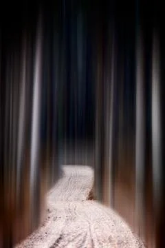Blurred Trees Abstract Stock Photos