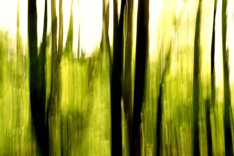 Blurred trees background Stock Photos