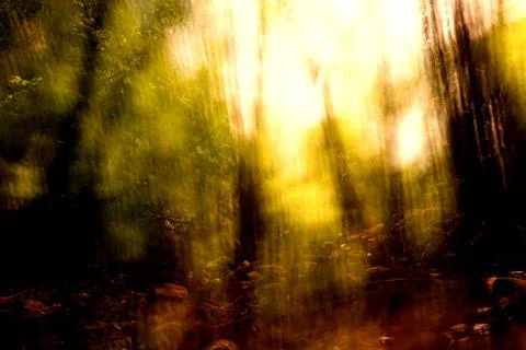 Blurred trees background Stock Photos