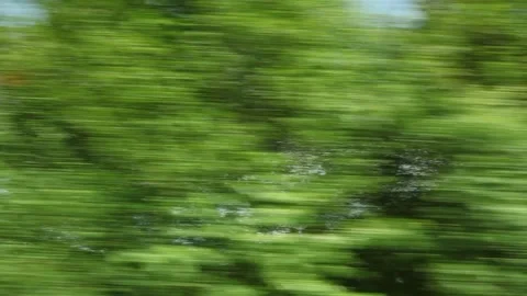 Blurred trees, movement, from a moving train, Germany Video stock 201658172