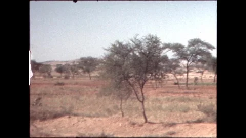 Blurred Trees in Rural Landscape Video stock 277976231
