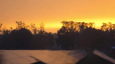 Blurred trees at sunset during travel 스톡 동영상 336818555