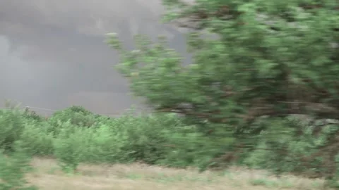 Blurred trees view from highway Video stock 142751155