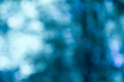 Blurred trees in winter. Blur with bokeh. Backdrop Stock Illustration