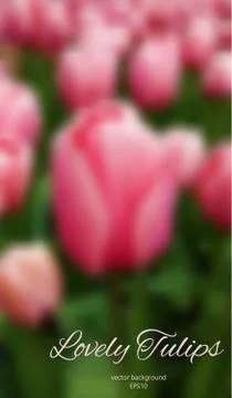 Blurred tulips field Stock Illustration