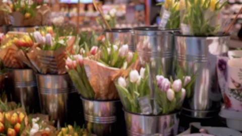Blurred Tulips in Flower Shop Stock Footage 306774553