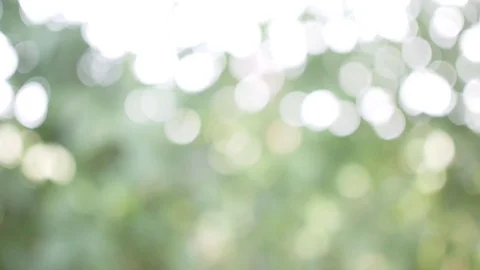 Blurred Vegetation Blowing in Soft Breeze Bokeh Background Stock Footage 78629997
