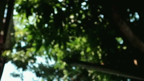 Blurred video Stock Footage 209170821