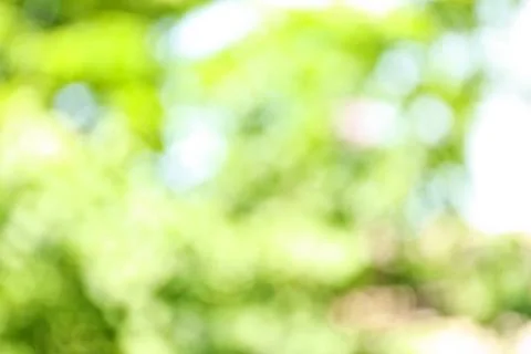 Blurred view of abstract green background. Bokeh effect Foto stock