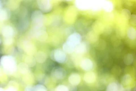 Blurred view of abstract green background. Bokeh effect Foto stock