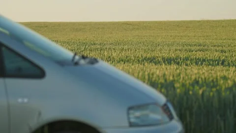 Blurred view of car with young man. Footage of guy driving auto on nature Stock Footage 219949514