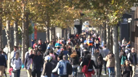 Blurred view  of a crowd people walking under trees 스톡 동영상 52181926