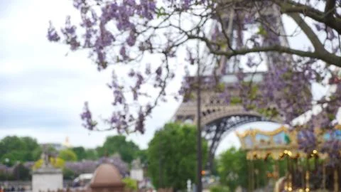 Blurred view of the Eiffel Tower in Paris behind large tree in foreground Fotos de archivo