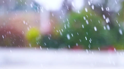 Blurred view of falling snow in a winter garden Stock Footage 341928159