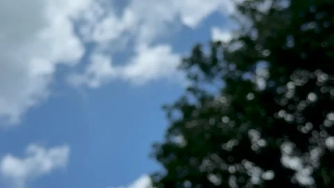 Blurred view of lush green foliage against a bright blue sky with scattered.. Vidéo 339296352