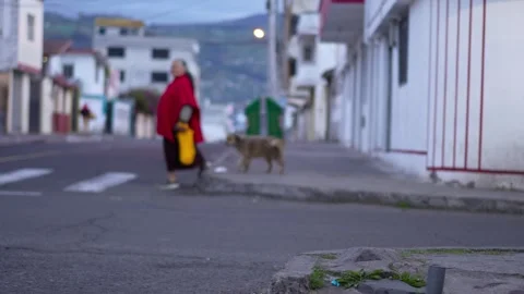 Blurred view of old lady walking with dog in the street in South America.MOV 库存影片 277630574