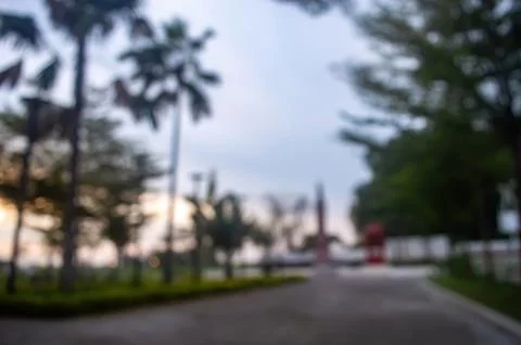 Blurred view of palm trees along a road with a gate in the distance under a.. Stock-Fotos