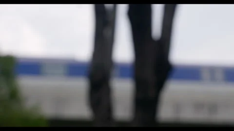 Blurred View of Tree and Train in Motion Stock Footage 328525107