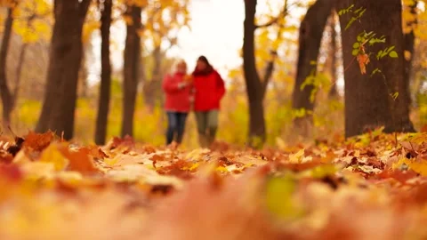 Blurred view of two friends holding yellow leaf along road in autumn forest with Stock Footage 158168210