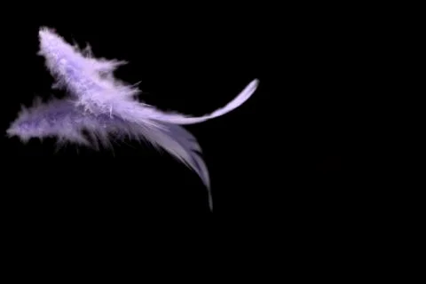 Blurred violet feather background Stock Photos
