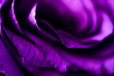 Blurred violet pattern for designer. Stock Photos
