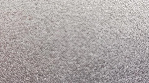 Blurred Wall Texture Background, Abstract Cement Surface with Neutral Gray Tone Stock Photos