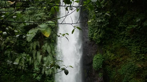 Blurred waterfall with focused leaf and branch. Jungle waterfall cascade in.. Stock Footage 258273821