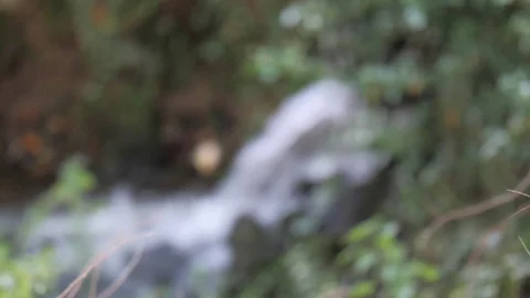 Blurred waterfall loop Stock Footage 116886078