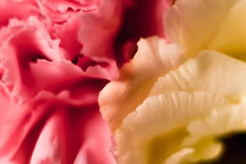 Blurred wedding card pattern. Stock Photos