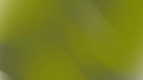 Blurred white light on green background, great for abstract designs Stock Footage 302851133