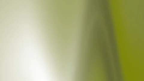 Blurred white light on green background, great for abstract designs Stock Footage 302851141