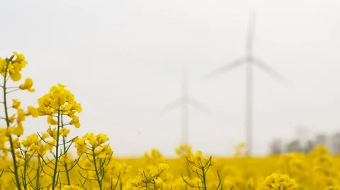 Blurred windmills rotating during windy spring cloudy day Stock Footage 62497250