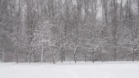 Blurred winter background, falling snow whirls gently.  Winter season concept Stock Footage 166414255